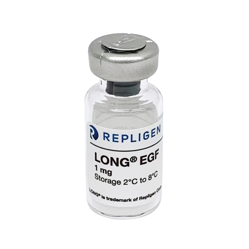 acetyl l-carnitine l-tyrosine Acetyl-L-Carnitine 500 Mg acetyl l-carnitine l-tyrosine Acetyl-L-Carnitine 500 Mg